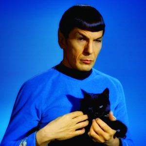 Meet your Posher, Bob